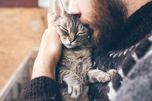 Man with beard snuggles a cat close to face.