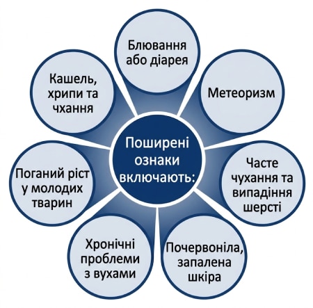Common signs of food allergies and food intolerance