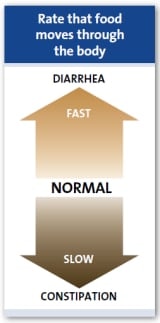 Швидкість, із якою їжа проходить крізь ШКТ