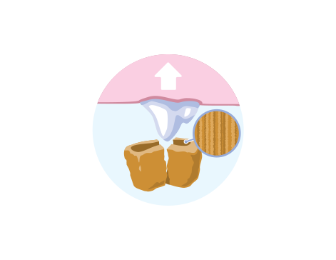 корм для домашніх тварин видаляє наростання зубів, ілюстрація