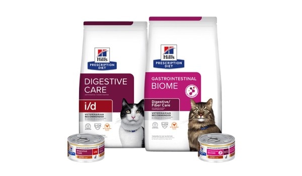 Корм ​​для котів Prescription Diet Digestive Care