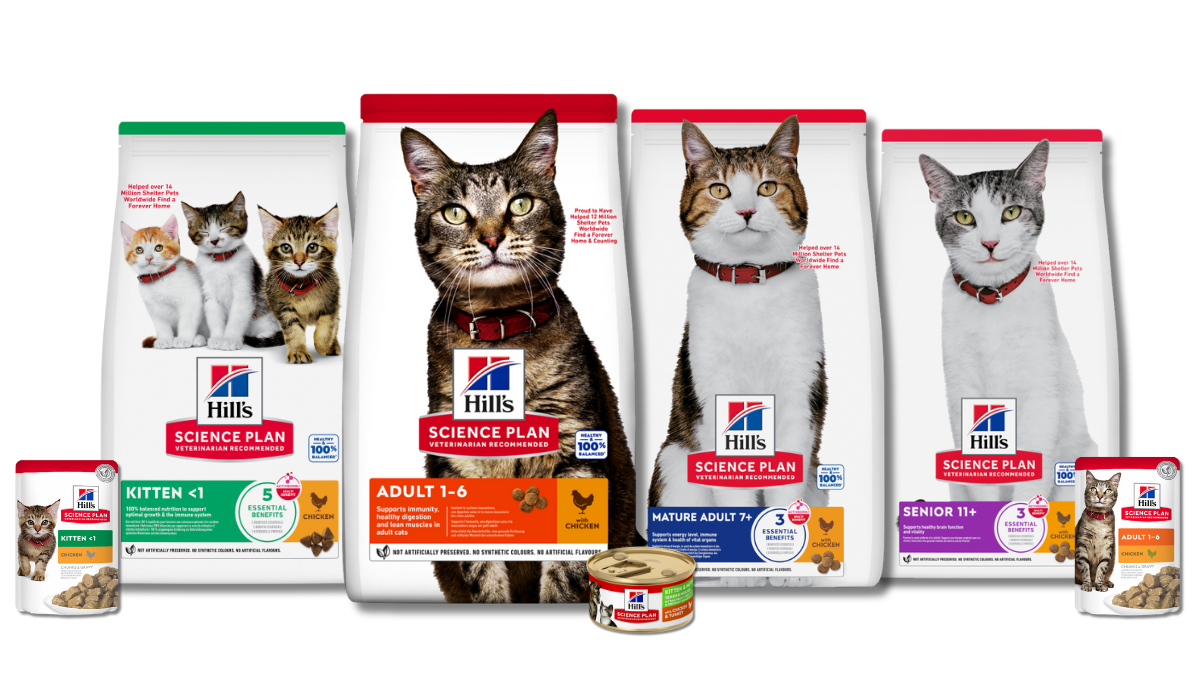 Selection of Science plan cat diets in bags, cans and pouches