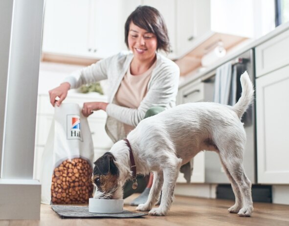 Dog eating Hill's Pet dog food