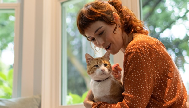 Коричнево-білий кіт сидить на колінах у жінки