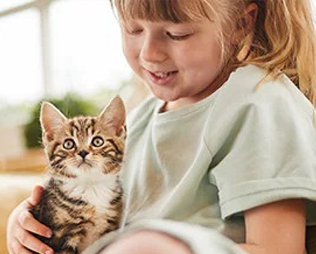 Girl With Happy kitten on her lap