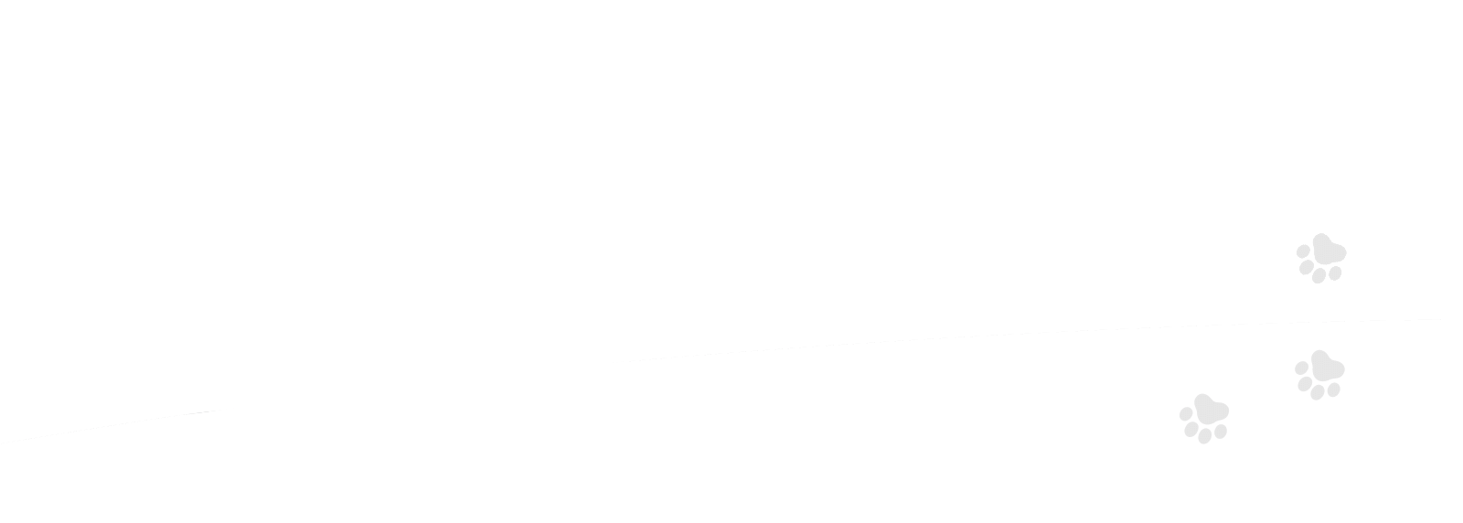 Hero white image with paws