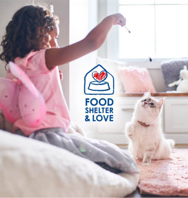 Дівчинка грається зі своїм котом