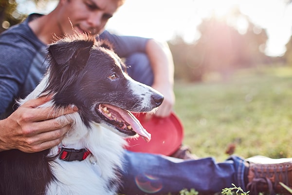 photo of man sitting in grass with dog