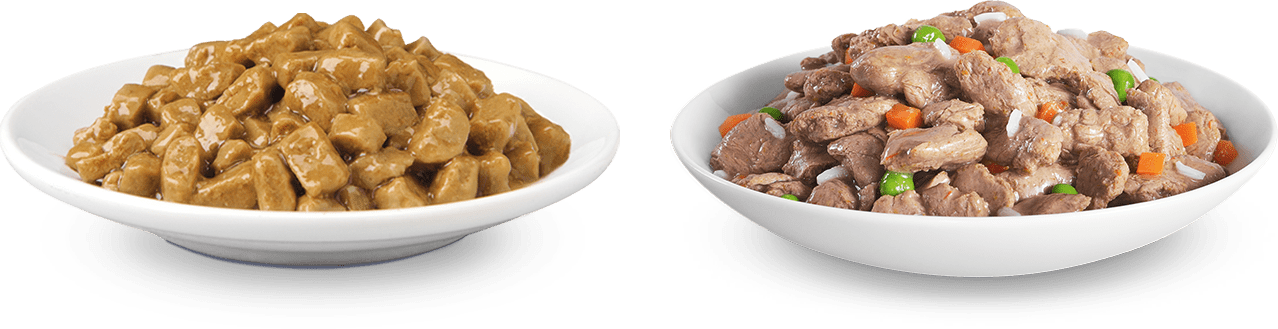 миски з їжею мокрого пагорба