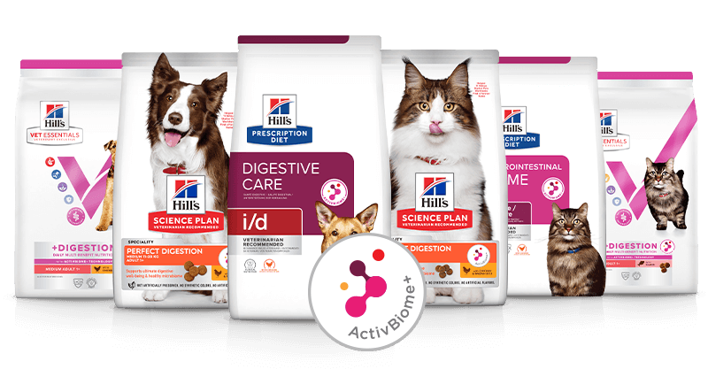 photo of dry food bags