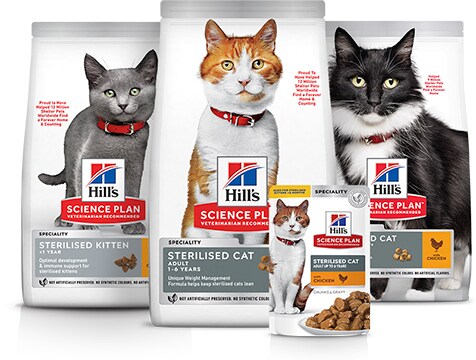 Стерилізований корм для котів Packshot