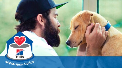 Man petting a dog