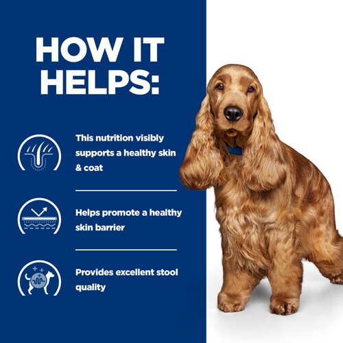 z/d Food Sensitivities Dry Dog Food Original Bag How It Helps