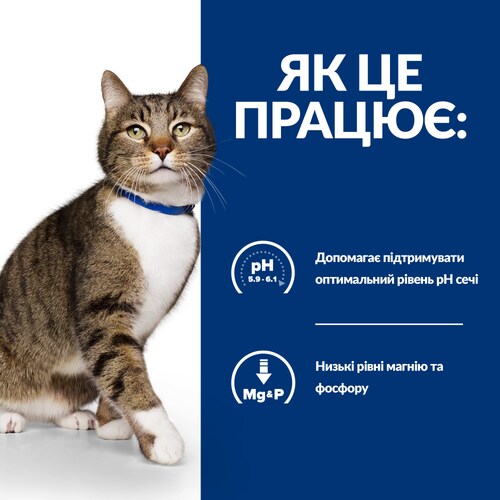 <p>Такі особливості роблять повнораціонний вологий корм для котів Hill’s PRESCRIPTION DIET s/d Urinary Care корисним поживним раціоном для котів із струвітним уролітіазом:</p>